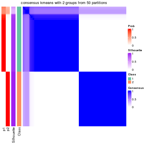 plot of chunk tab-node-02-consensus-heatmap-1