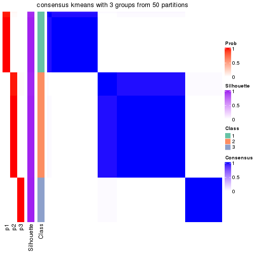 plot of chunk tab-node-02-consensus-heatmap-2