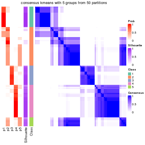 plot of chunk tab-node-02-consensus-heatmap-4