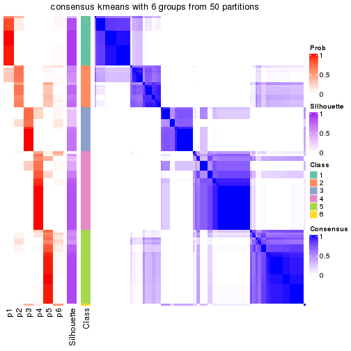 plot of chunk tab-node-02-consensus-heatmap-5