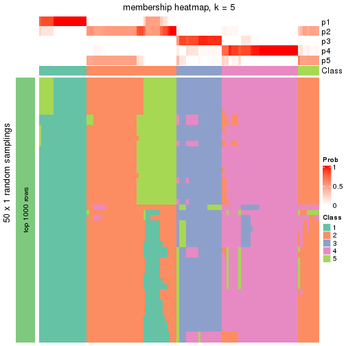 plot of chunk tab-node-02-membership-heatmap-4