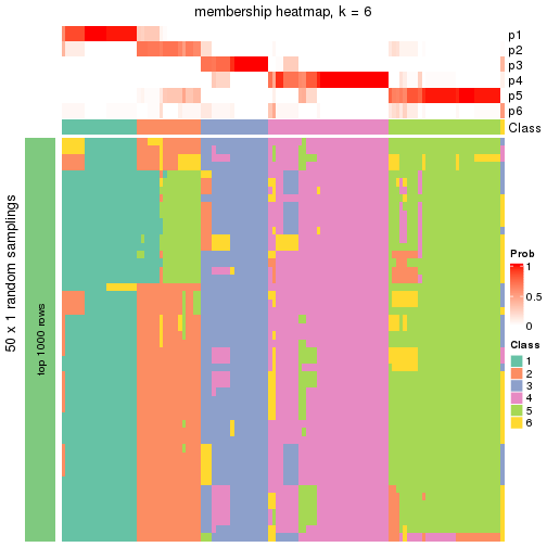 plot of chunk tab-node-02-membership-heatmap-5