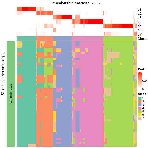 plot of chunk tab-node-02-membership-heatmap-6