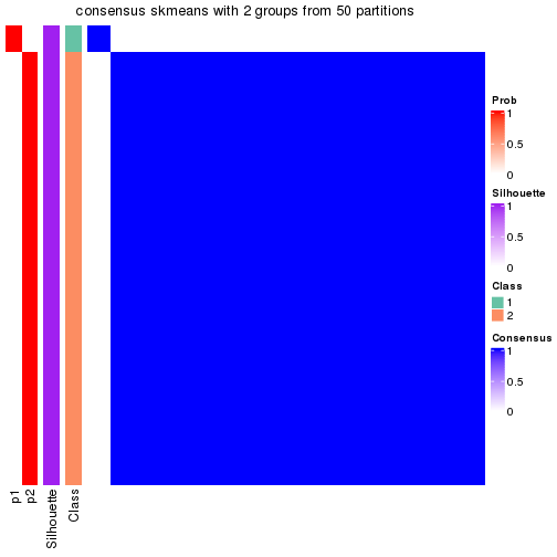 plot of chunk tab-node-021-consensus-heatmap-1