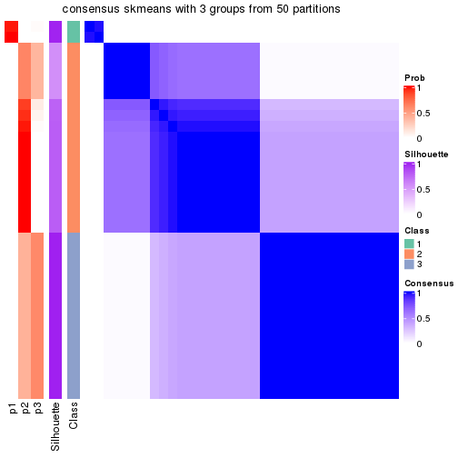 plot of chunk tab-node-021-consensus-heatmap-2