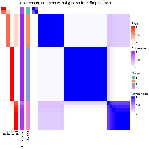 plot of chunk tab-node-021-consensus-heatmap-3