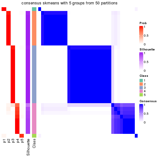 plot of chunk tab-node-021-consensus-heatmap-4