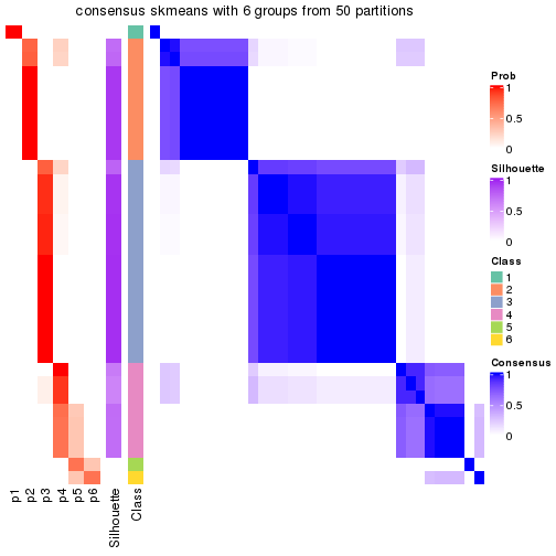 plot of chunk tab-node-021-consensus-heatmap-5