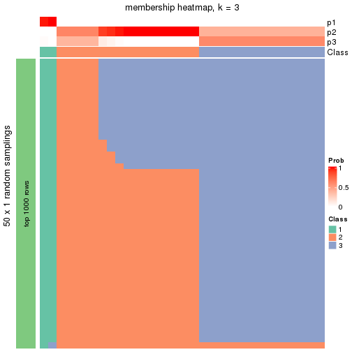 plot of chunk tab-node-021-membership-heatmap-2