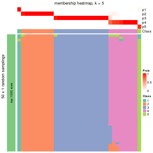 plot of chunk tab-node-021-membership-heatmap-4