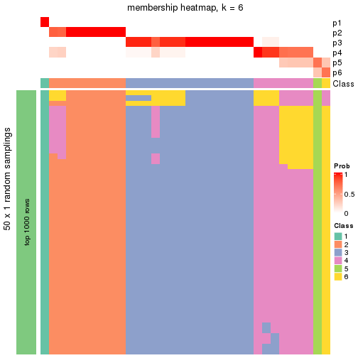 plot of chunk tab-node-021-membership-heatmap-5