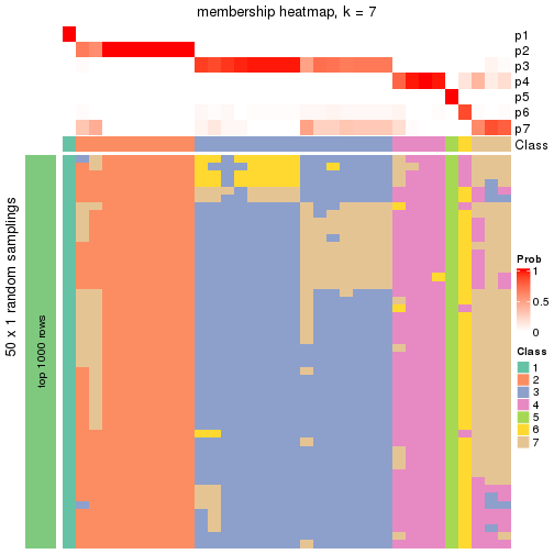 plot of chunk tab-node-021-membership-heatmap-6