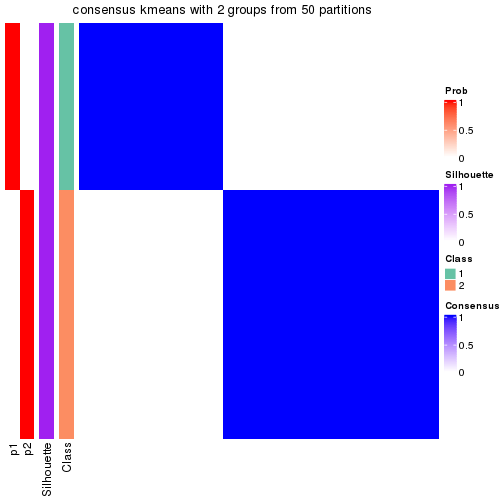 plot of chunk tab-node-0213-consensus-heatmap-1