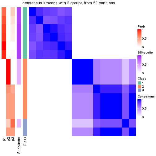 plot of chunk tab-node-0213-consensus-heatmap-2