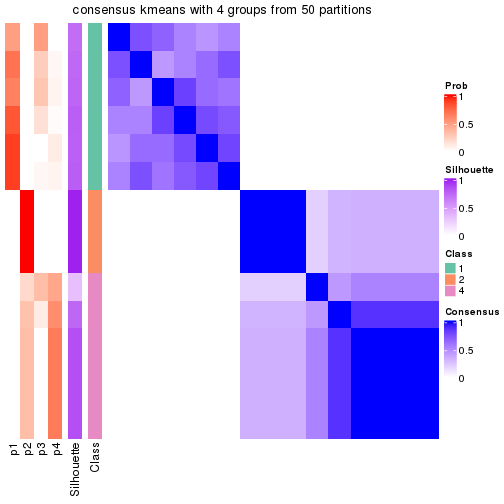 plot of chunk tab-node-0213-consensus-heatmap-3