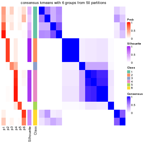 plot of chunk tab-node-0213-consensus-heatmap-5