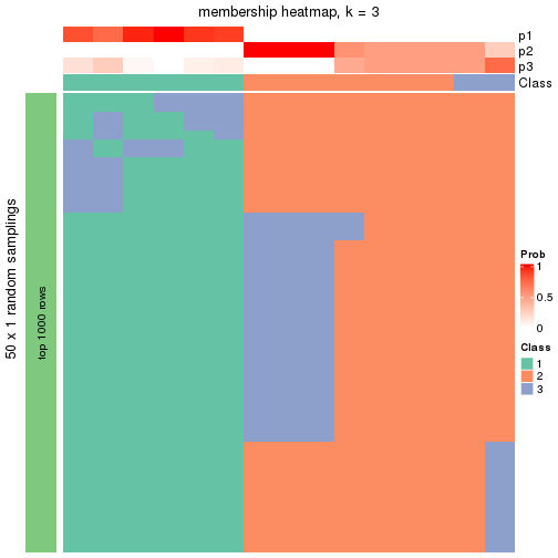 plot of chunk tab-node-0213-membership-heatmap-2