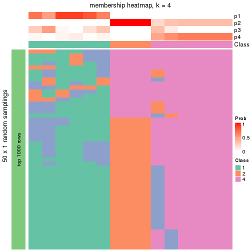 plot of chunk tab-node-0213-membership-heatmap-3