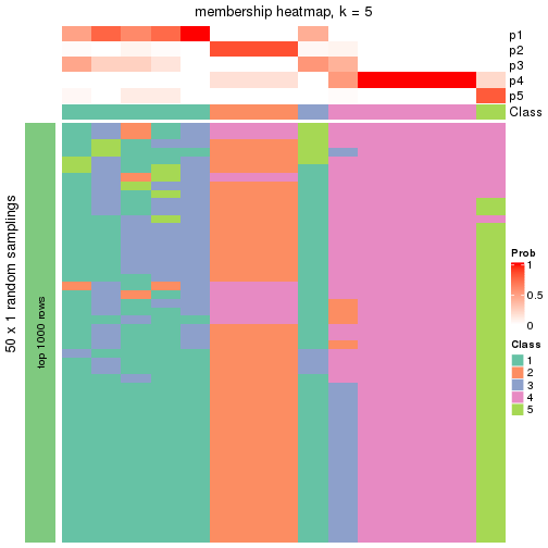 plot of chunk tab-node-0213-membership-heatmap-4