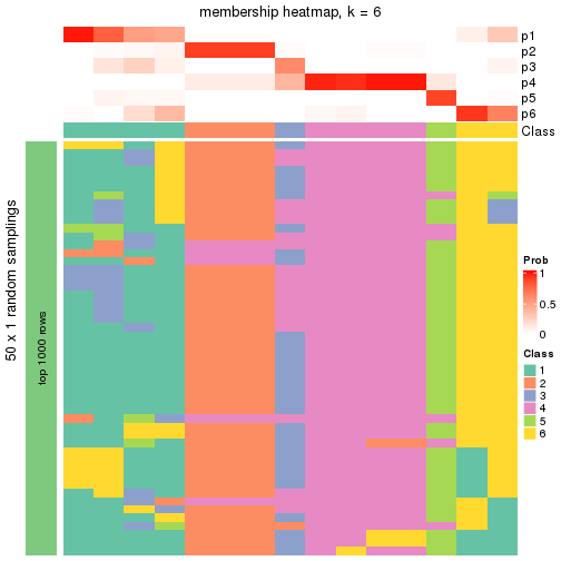 plot of chunk tab-node-0213-membership-heatmap-5