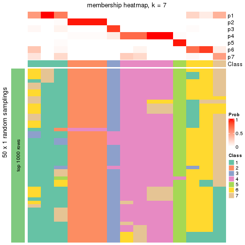 plot of chunk tab-node-0213-membership-heatmap-6