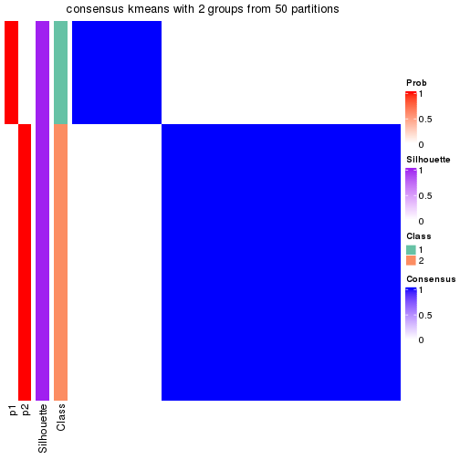 plot of chunk tab-node-022-consensus-heatmap-1