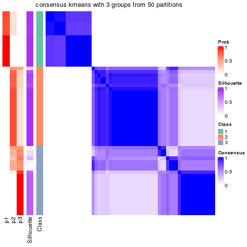 plot of chunk tab-node-022-consensus-heatmap-2