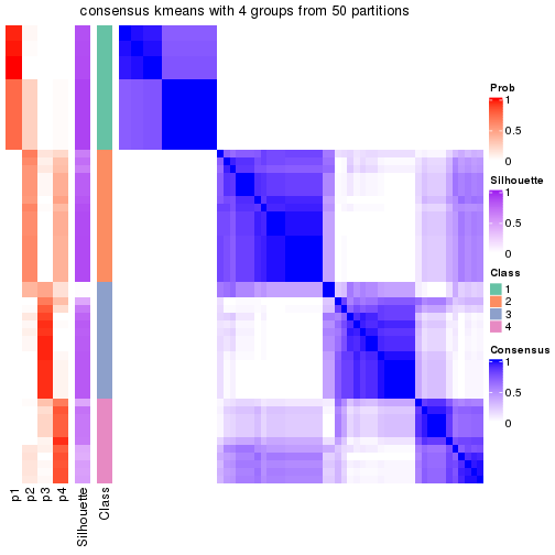 plot of chunk tab-node-022-consensus-heatmap-3