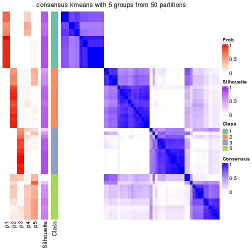 plot of chunk tab-node-022-consensus-heatmap-4