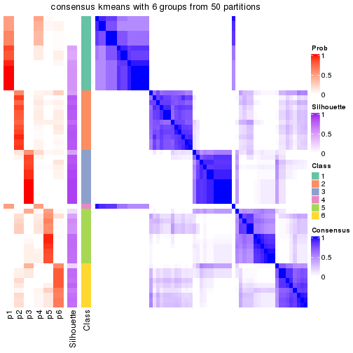 plot of chunk tab-node-022-consensus-heatmap-5