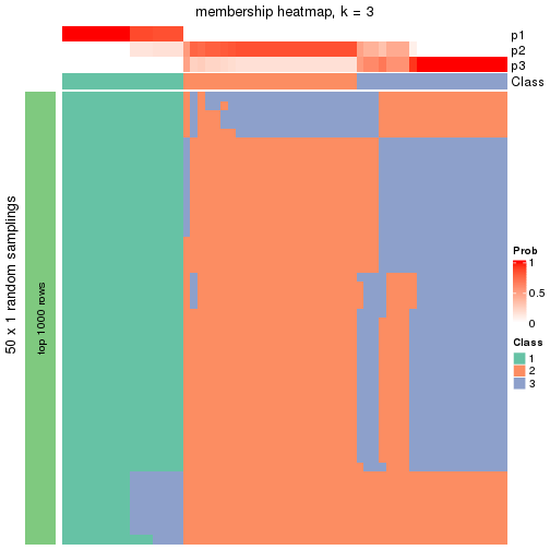 plot of chunk tab-node-022-membership-heatmap-2