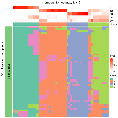 plot of chunk tab-node-022-membership-heatmap-4