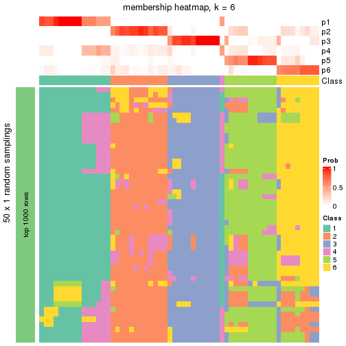 plot of chunk tab-node-022-membership-heatmap-5