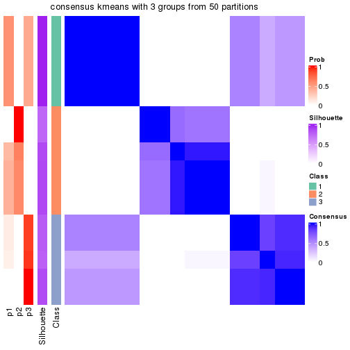 plot of chunk tab-node-0221-consensus-heatmap-2