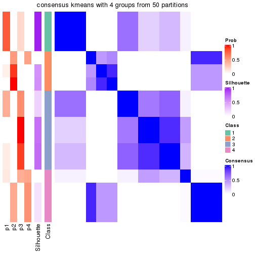 plot of chunk tab-node-0221-consensus-heatmap-3