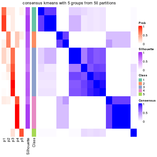 plot of chunk tab-node-0221-consensus-heatmap-4