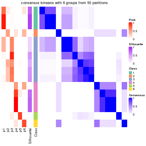 plot of chunk tab-node-0221-consensus-heatmap-5