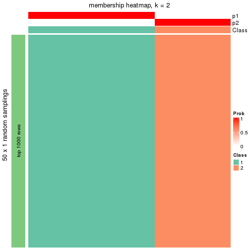 plot of chunk tab-node-0221-membership-heatmap-1