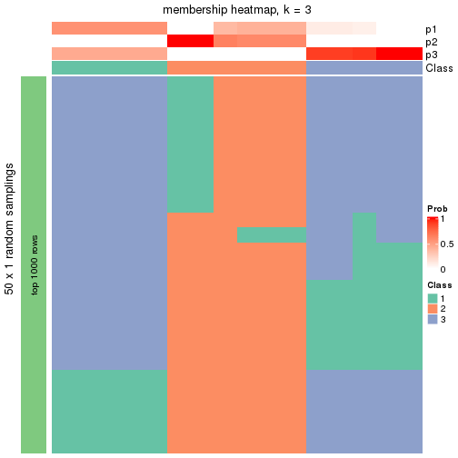 plot of chunk tab-node-0221-membership-heatmap-2