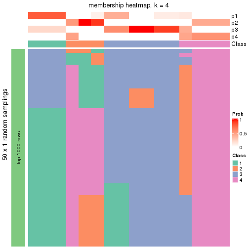 plot of chunk tab-node-0221-membership-heatmap-3