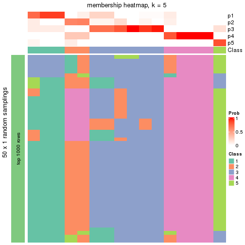 plot of chunk tab-node-0221-membership-heatmap-4