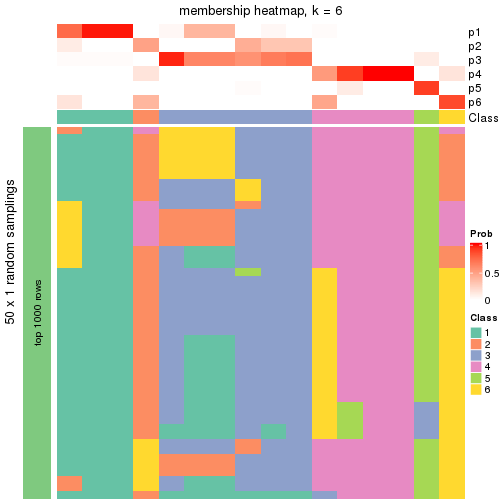 plot of chunk tab-node-0221-membership-heatmap-5