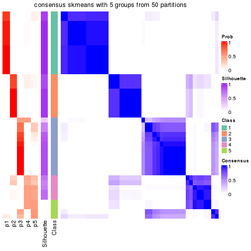 plot of chunk tab-node-0222-consensus-heatmap-4