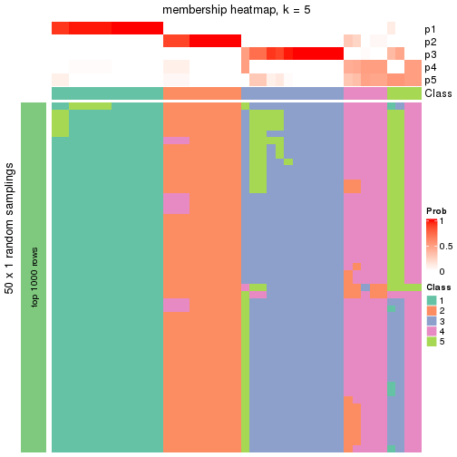 plot of chunk tab-node-0222-membership-heatmap-4