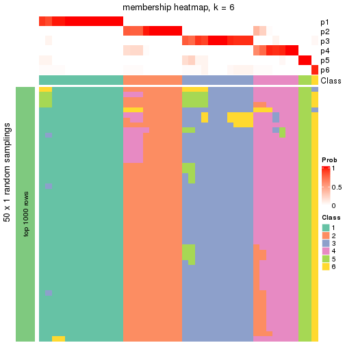 plot of chunk tab-node-0222-membership-heatmap-5