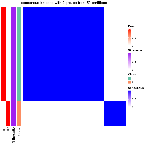 plot of chunk tab-node-02222-consensus-heatmap-1