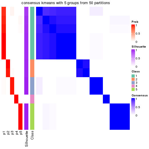 plot of chunk tab-node-02222-consensus-heatmap-4