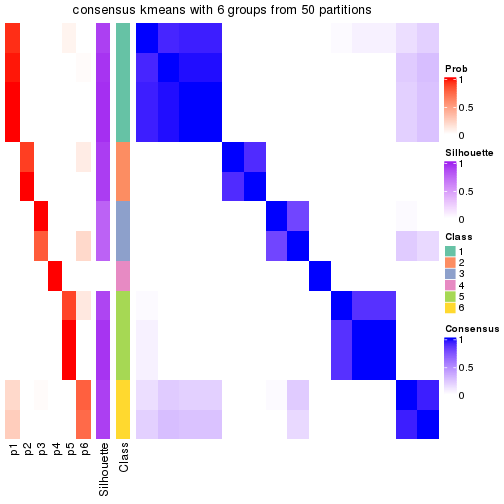 plot of chunk tab-node-02222-consensus-heatmap-5