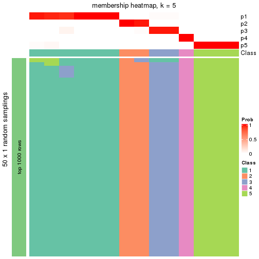 plot of chunk tab-node-02222-membership-heatmap-4