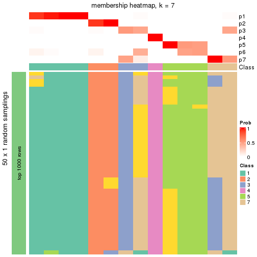 plot of chunk tab-node-02222-membership-heatmap-6